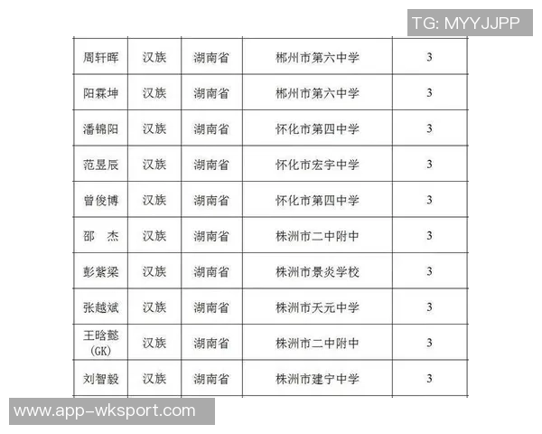 申请成为足球二级运动员的条件与流程详解助你顺利晋级
